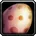 Raptor Egg