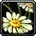 Peacebloom
