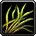 Morrowgrain