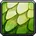 Green Whelp Scale