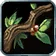 Nature's Reach